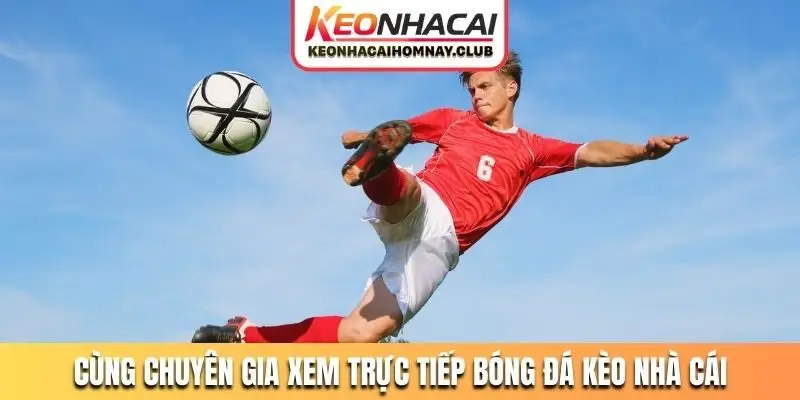 Cùng chuyên gia xem trực tiếp bóng đá kèo nhà cái và nhận định
