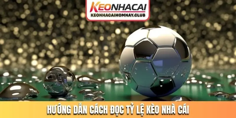 huong dan cach doc ty le keo nha cai Hướng dẫn cách đọc tỷ lệ kèo nhà cái