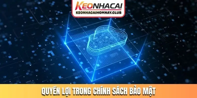 Quyền lợi của người truy cập mô tả trong chính sách bảo mật
